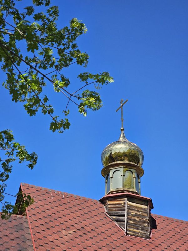 ������ �������: � ���������� ������� �����!