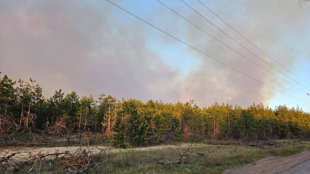 �������� � ������������ �������� ��� �������������� �������� �����������, �������� �� �������� �����, �������� ������� ������������ ����� � ������� ��� �� ��������� �����