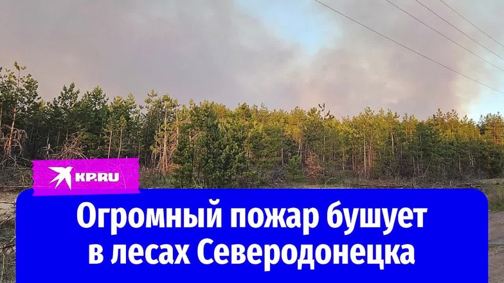 �������� ����� ��, ��� ������� ��� ������: ����� 350 �������� ���� ����� � �������������