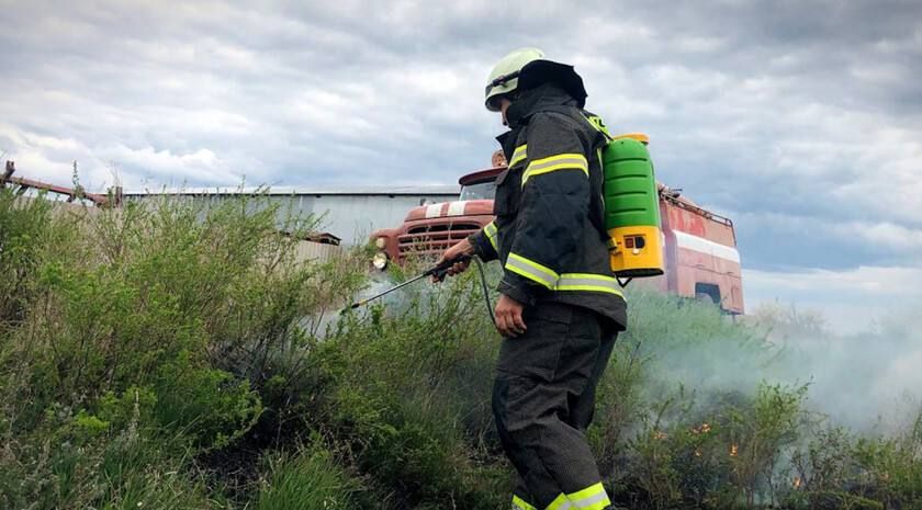 Природные пожары за сутки уничтожили на территории ЛНР почти 200 га растительности