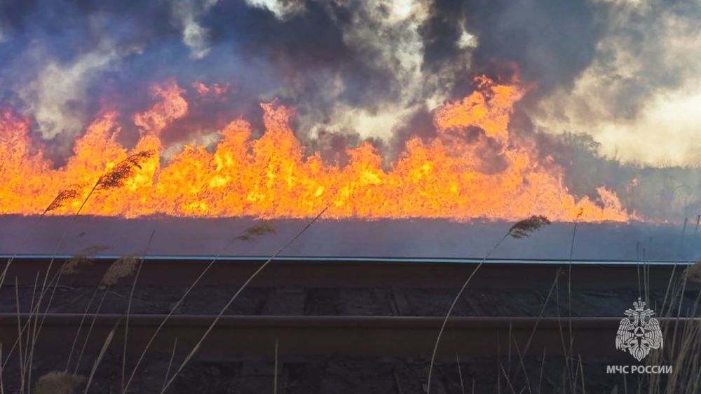 За сутки в ЛНР из-за ландшафтных пожаров выгорела территория площадью более 173 гектаров