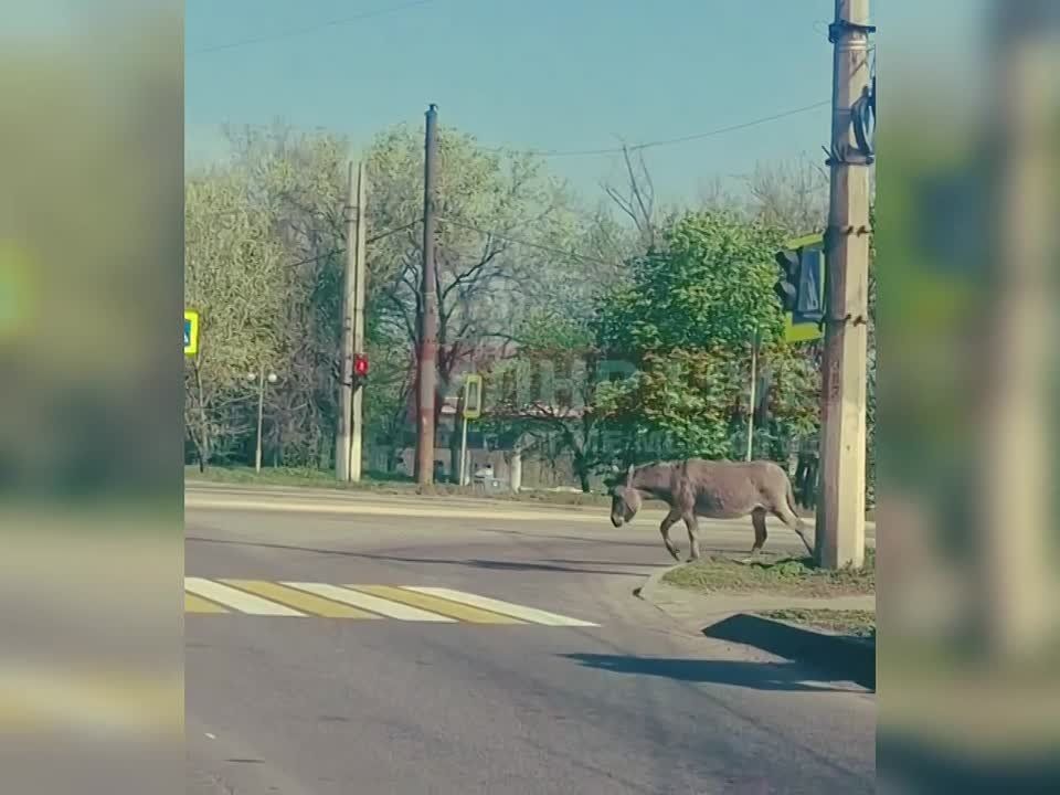 ������ � ���������� �������� ������ ���������� ���
