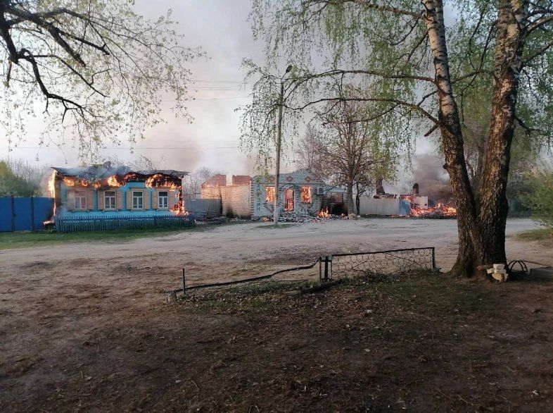  :        :     ,       ,    , ,    