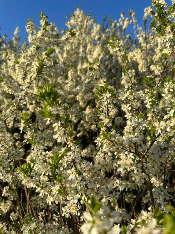 � ������ �����, ������ ����������� �������������� ������!