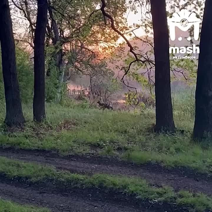 ������� � ������� ��������� ��� � ������, ��� ���� ���������� �� ��������