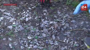 Аппарат Народного Совета ЛНР присоединился к республиканскому субботнику