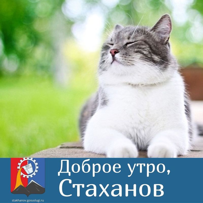 ���� ������ ����!. ������� ���������� ���������