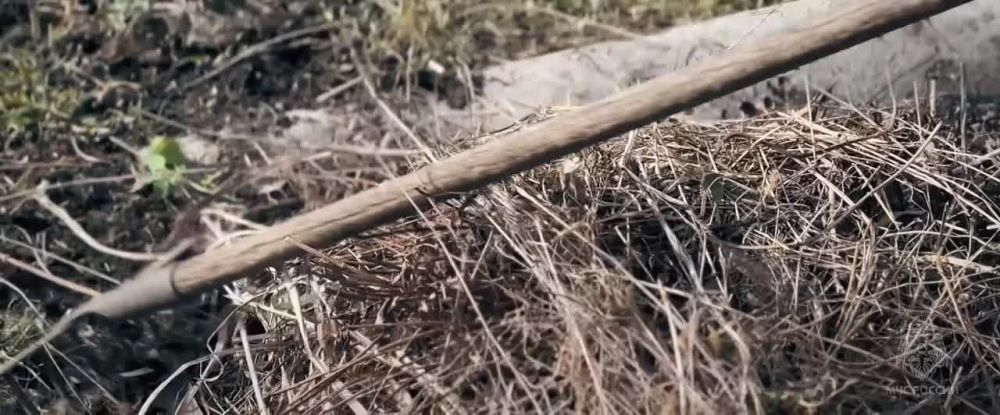 �������� ������: ������������ � ����� �����! ���������� �������, �� ������ ������� �� ��� ������ �� ���, ����� �������� ����: