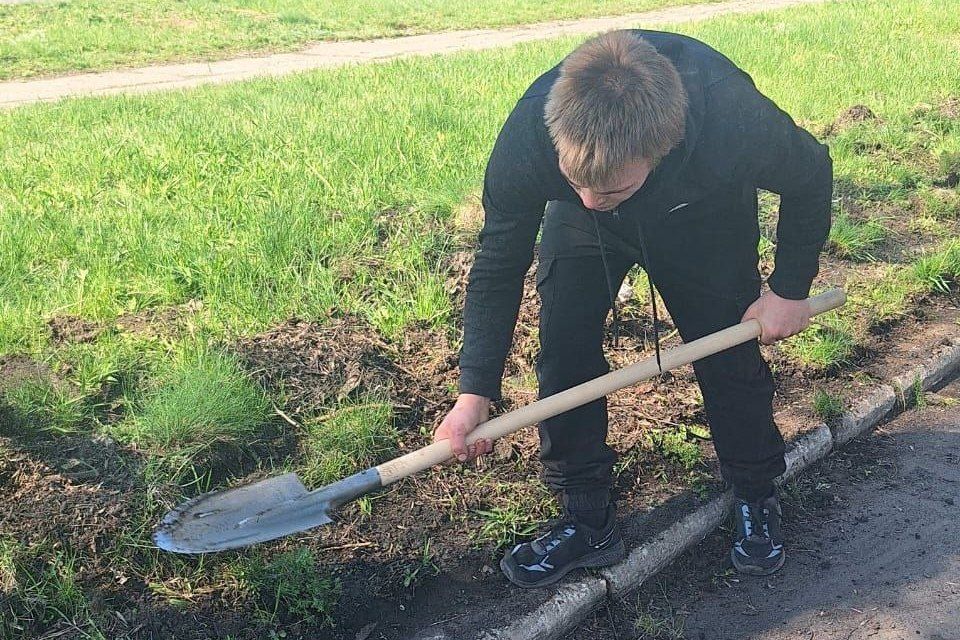 ����� ������������: ������ ������������������ ������� ������� �� ������������� ����������