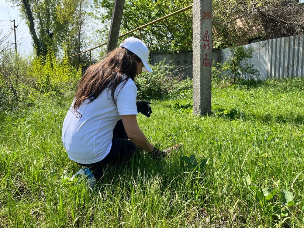 ������� ��������: ������� � ������ ��������� ������������ ���������� ��������� ����� �� ���� ���������� ��������� �������� ������������� ���������