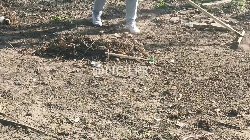 ����� 300 ������� �������� �������������� �� �������������� ���������� � ������ ���������