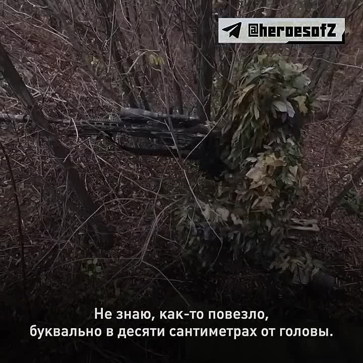 ������� ����� ������� � ���� 22 ���� � ������� ������ ��������, �������� ����������� ������� �������� � ������ ������� � ���