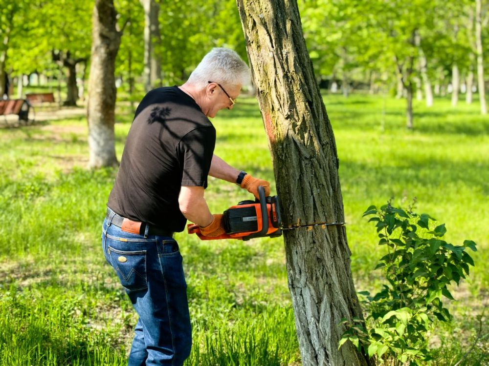 Сергей Козенко: Сегодня Краснодон принял участие во Всероссийском субботнике, в рамках которого жители объединились, чтобы сделать свой вклад в создание современной, уютной и чистой городской среды
