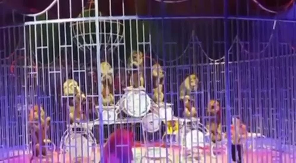 ���������� �������� ��� �������� ���������� � ��������� �����