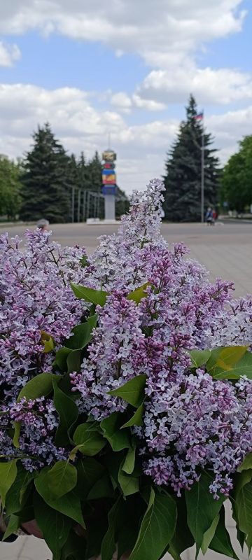 Сергей Колягин: Первомайский букет.. Во всех смыслах этого слова)) С праздником весны и труда, дорогие земляки!
