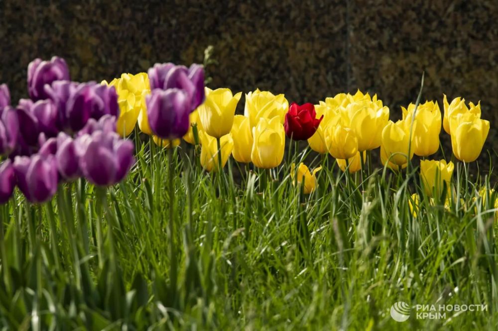 Погода на новых территориях России