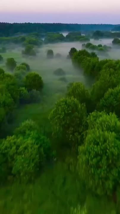 Доброе утро, Великая страна!