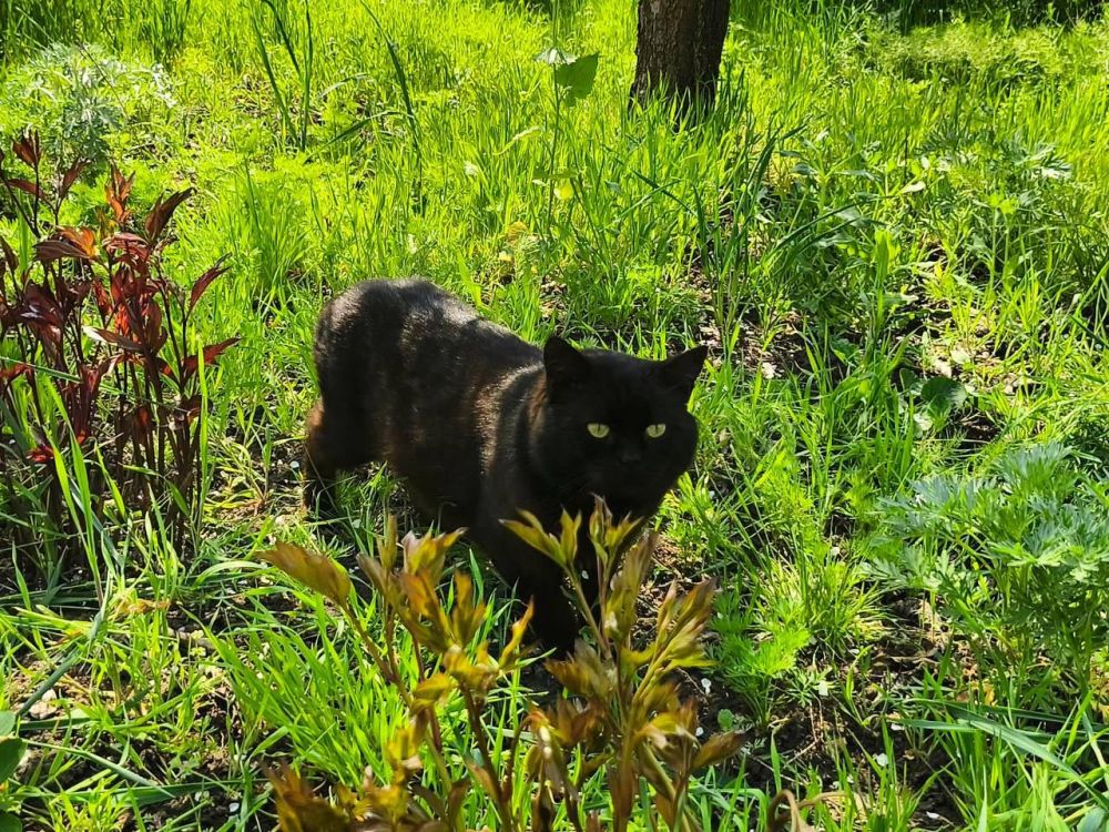 Синоптики прогнозируют 4 мая в ЛНР от плюс 2 градусов ночью до 26 градусов тепла днем — пресс-служба Главного управления МЧС по ЛНР