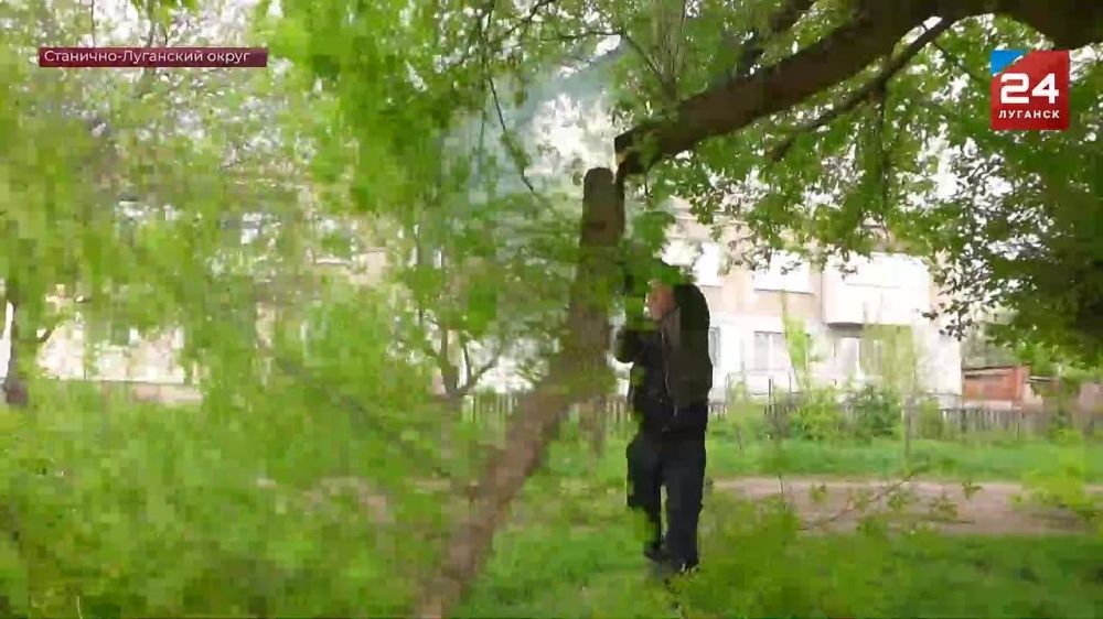 Ветерану Великой Отечественной войны Сергею Ткаченко из Станично-Луганского округа помогли представители «Единой России»