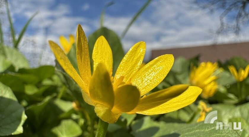 Синоптики прогнозируют днем 4 мая в ЛНР до 26 градусов тепла