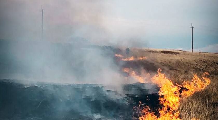 Чрезвычайная пожароопасность сохранится в северо-западных районах ЛНР 3 и 4 мая, на других территориях объявлена высокая пожароопасность
