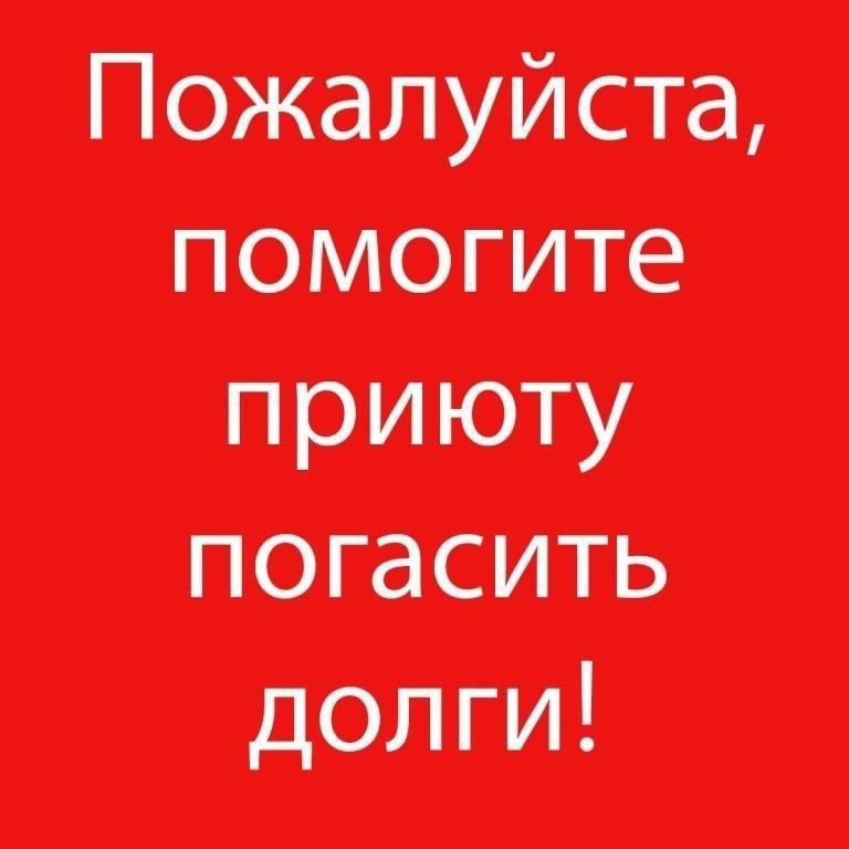 Друзья, просим о помощи в закрытии долга от 26.04 за корм нашему приюту, где более 200 хвостиков, где много инвалидов, спинальников, хроников и болеющих
