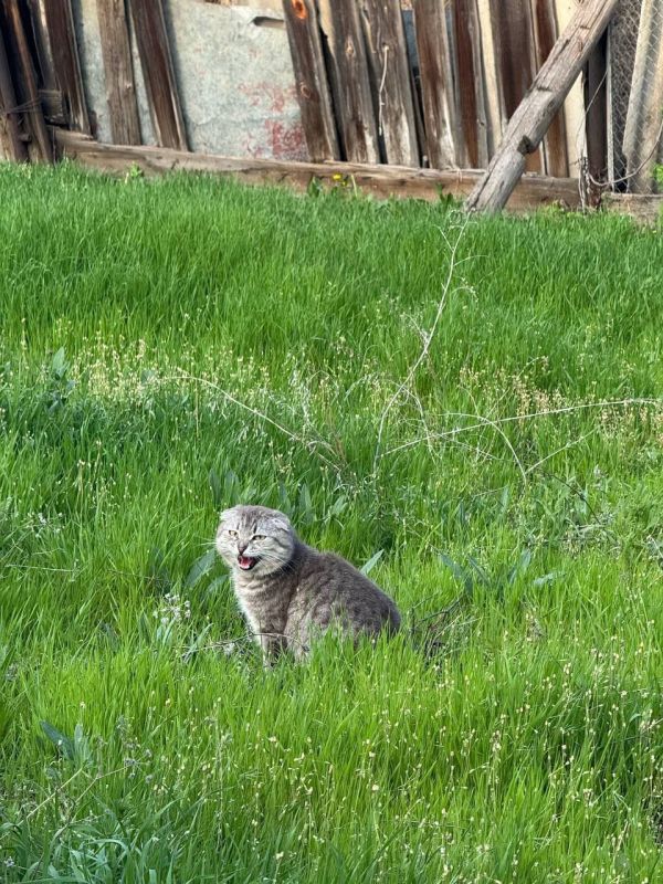 3 мая на территории Луганской Народной Республики прогнозируется переменная облачность
