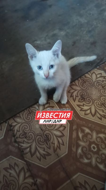 4 мая на территории Республики прогнозируется переменная облачность