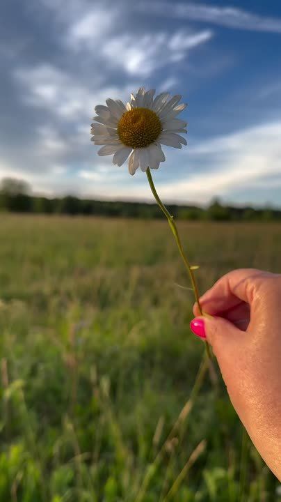 Доброе утро