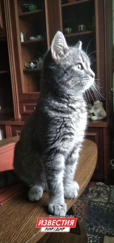 5 мая на территории Республик переменная облачность