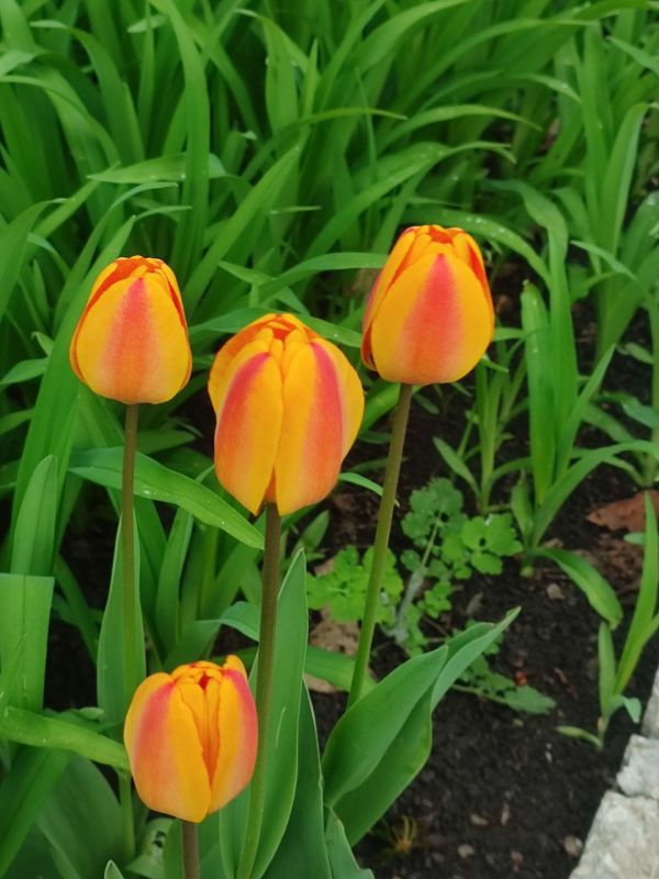 Доброе утро, ровенчане!. Сегодня понедельник — начало новой недели, и пусть это утро станет для вас вехой к новым достижениям и свершениям! Пусть каждый из вас почувствует заряд энергии и вдохновения, готовясь к предстоящим...