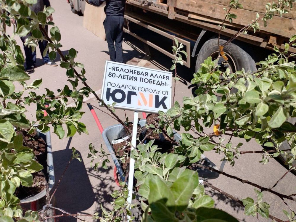 Новые лавочки, яблоневый сад и детские книги – подарок Стаханову от Южного горно-металлургического комплекса к 9 мая