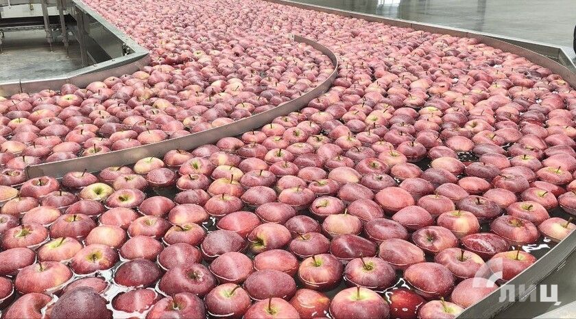 �� ��������� ���������� ������������������ �������� � 2028 ���� � ��������