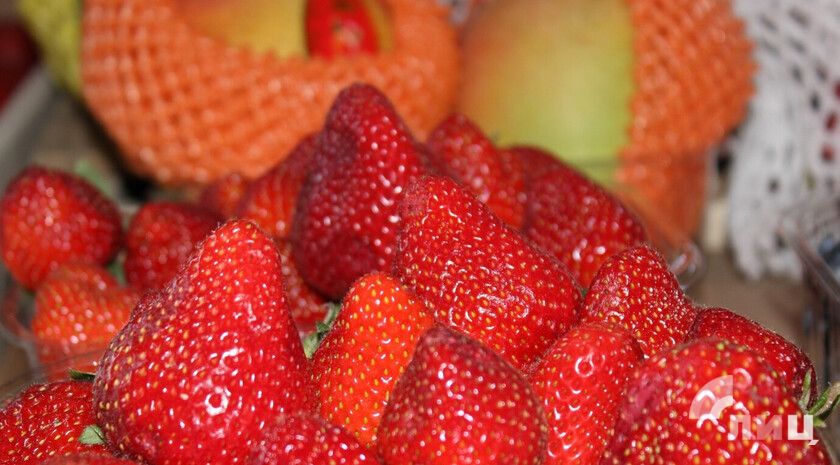 ������ ��������� ������� 2,1 ��� � �������� � ���� � 2025 ����