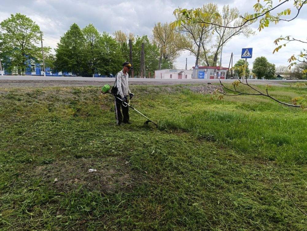 Андрей Рубанцов: Посёлки городского округа город Ровеньки начали борьбу с травой