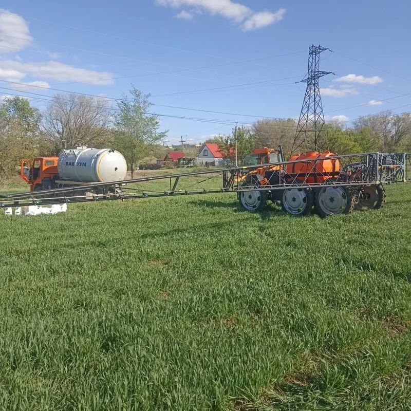 Новые гибриды подсолнечника, кукурузы и сорго проходят испытания в ЛНР