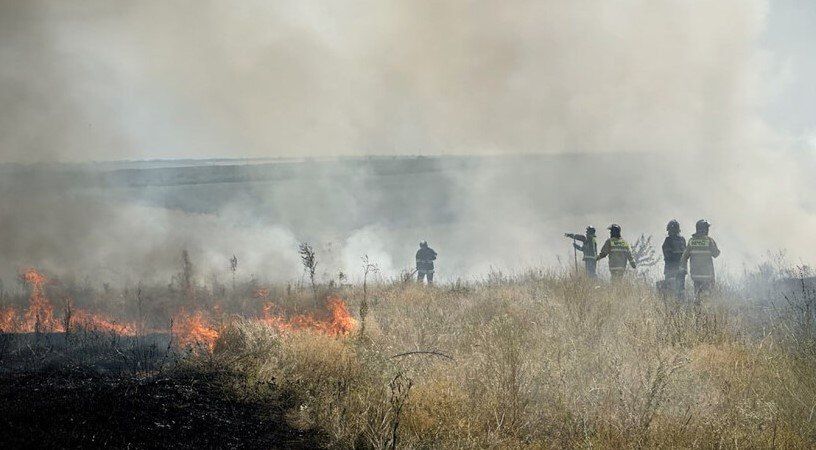 Чрезвычайная пожароопасность — 5-й класс — ожидается в большинстве районов ЛНР до конца 6 мая и в течение 7 мая