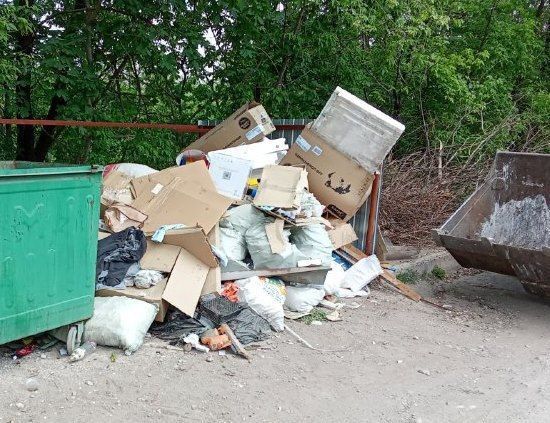 Уважаемые алчевцы!. Несмотря на проведение работ по благоустройству городских территорий, приведение города в надлежащее санитарное и эстетическое состояние, нерадивые жители города уже через несколько дней, а то и через...