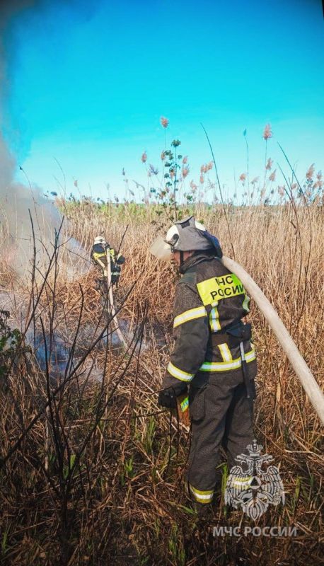 Природа нуждается в твоей защите