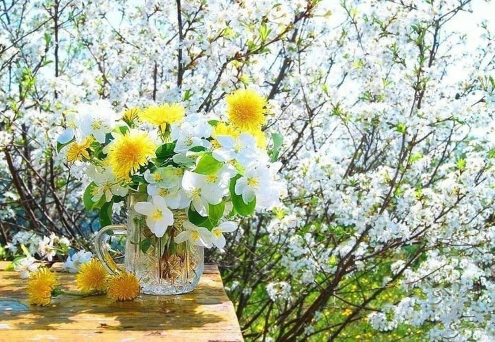 С ДОБРЫМ УТРОМ, НОВОПСКОВСКИЙ ОКРУГ!