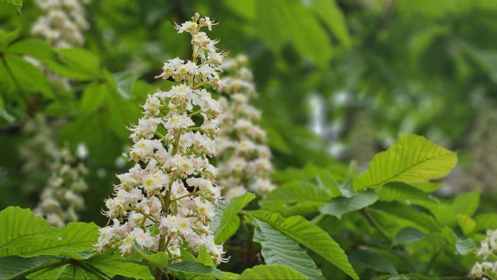 Доброе утро, Алчевск!. Начинается новый день, который обещает быть по-майски теплым и приятным