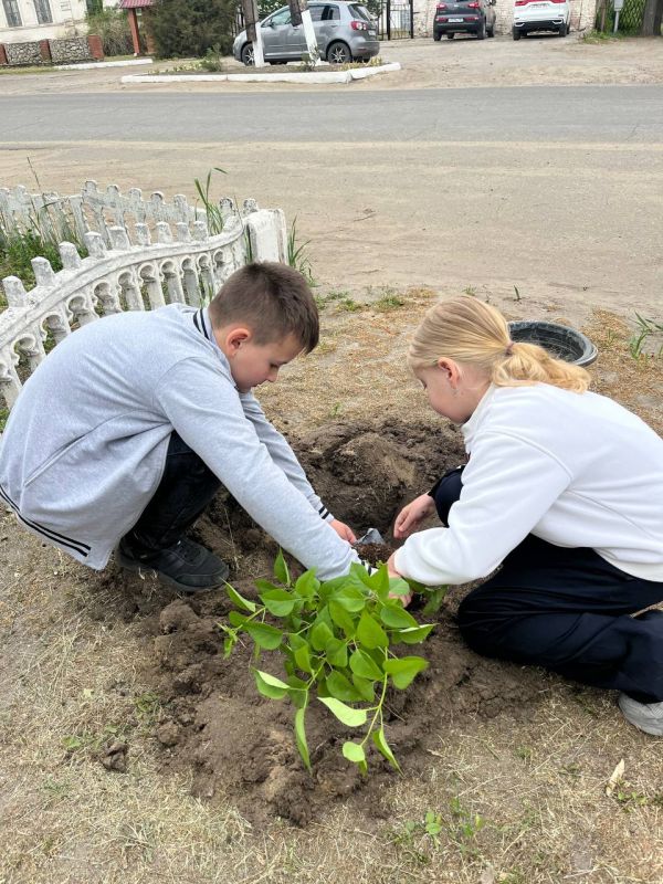 Владимир Чернев: Сирень Победы: память, которая цветёт!