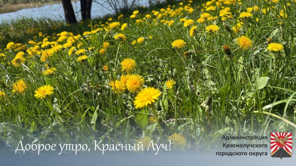 С добрым утром, краснолучане!