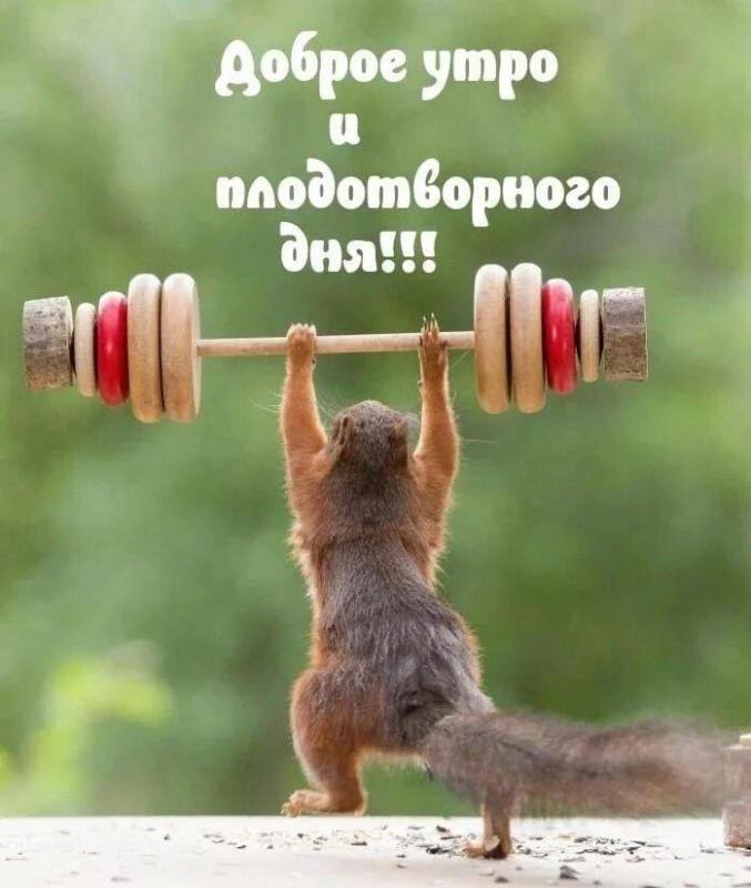 Доброе утро! Проснулись с улыбкой? Отлично! Сегодня точно всё получится