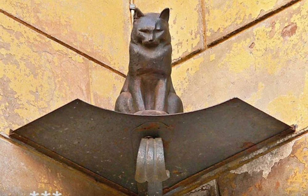 Наталия Пащенко: После прорыва блокады наряду с продовольствием в Ленинград завезли кошек для борьбы с наводнившими город крысами