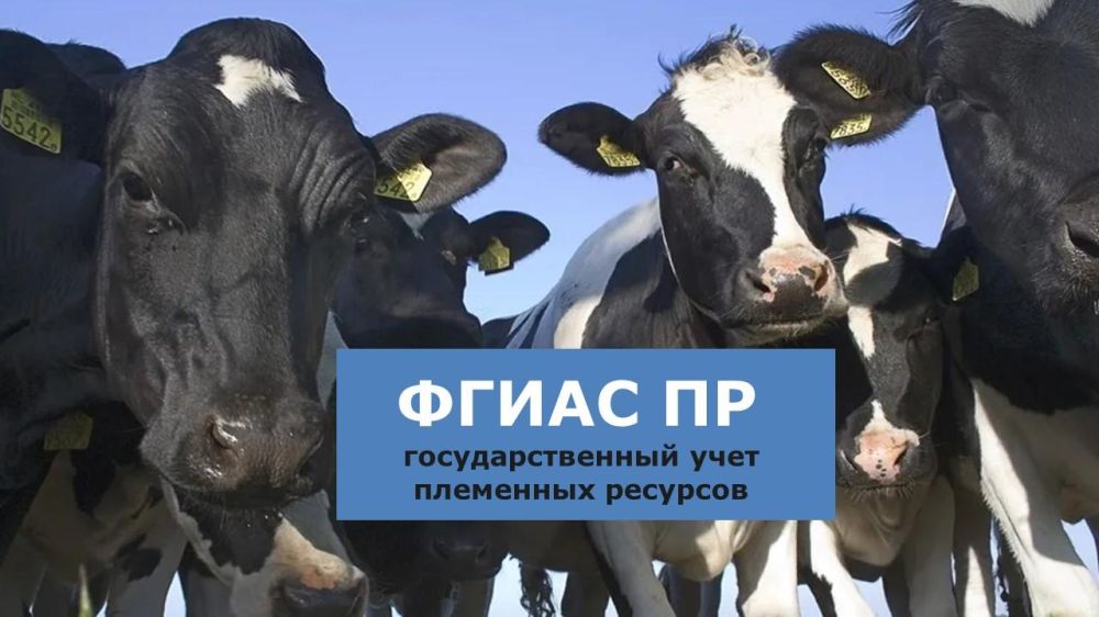 Регистрация и предоставление данных в ФГИАС ПР