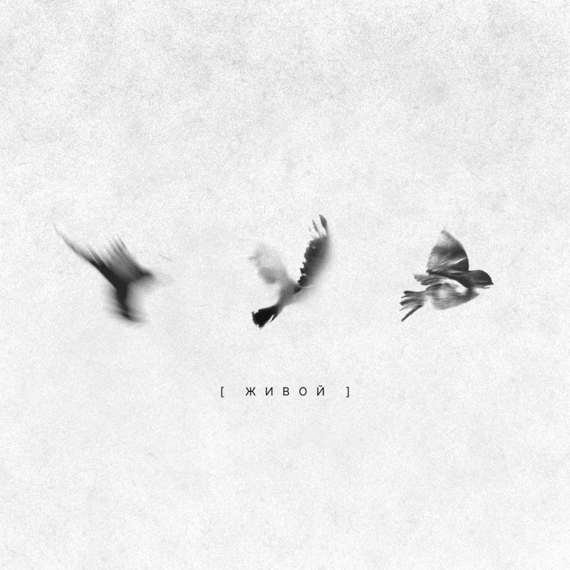 Дорогие друзья! Член Молодёжного совета, автор-исполнитель Анна Лихотворик участвует в национальном проекте Олега Газманова «Родники» со своей авторской песней «Живой»