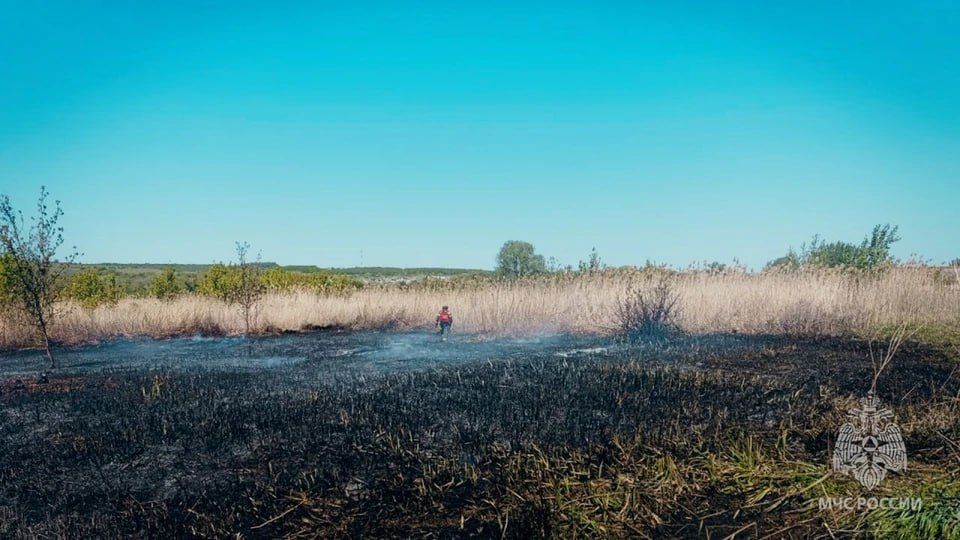 За сутки в ЛНР потушили 20 пожаров