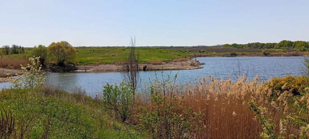 Минприроды ЛНР провело обследование бесхозяйных гидротехнических сооружений на водных объектах Славяносербского муниципального округа Луганской Народной Республики