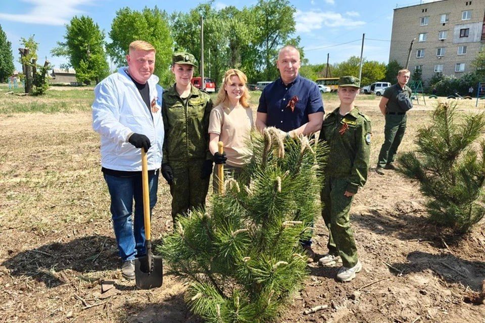 Зелёные мемориалы на просторах ЛНР: В Станице Луганской высадили 80 сосен в честь 80-летия Великой Победы
